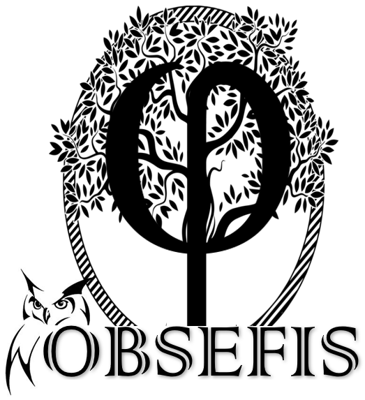 OBSEFIS2-3
